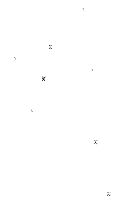 Hherentwicklung eines Hyperzyklus' (Abb. 2)